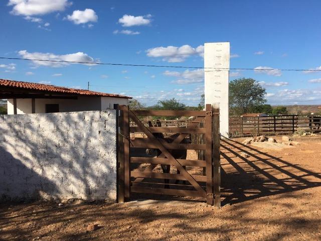 Ótima propriedade de 377 hectares,em Jataúba-PE, por apenas R$ 650 mil - Foto 3