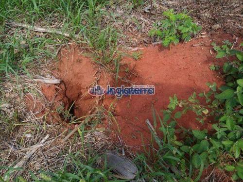 Fazenda à venda, 1817,07 alq. por r$ 36.790.000 - centro - diamantino/mt - Foto 7