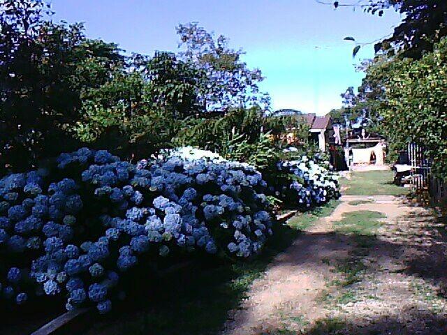 Chácara - Sítio - Mandirituba próx. Fazenda Rio Grande - Foto 7