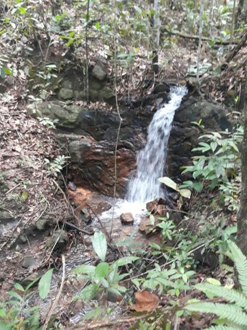 Culturao terra Preta agua por gravidade - Foto 6