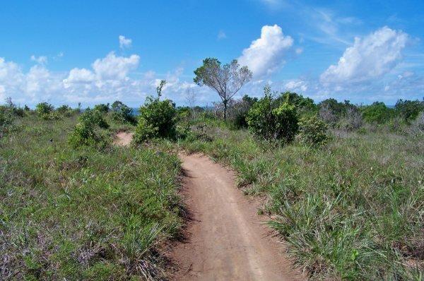 Chacara em Trancoso Rio Verde - Foto 17