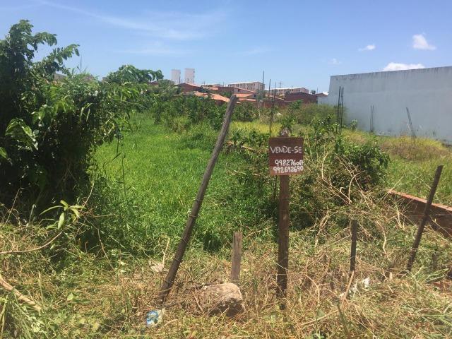 Terreno - Foto 2