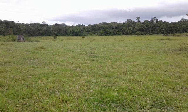 Fazenda em Roraima -São Luiz