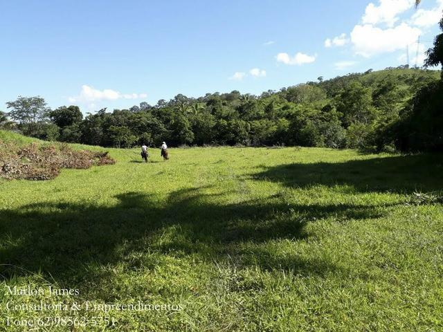 Fazenda em Niquelandia! - Foto 13