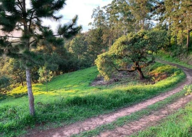 11*Neste terreno com uma entrada de 15.000,00 podemos fazer ótimas parcelas - Foto 3