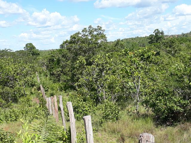 Vendo terreno de 7 alqueiro de terra viagem - Foto 13