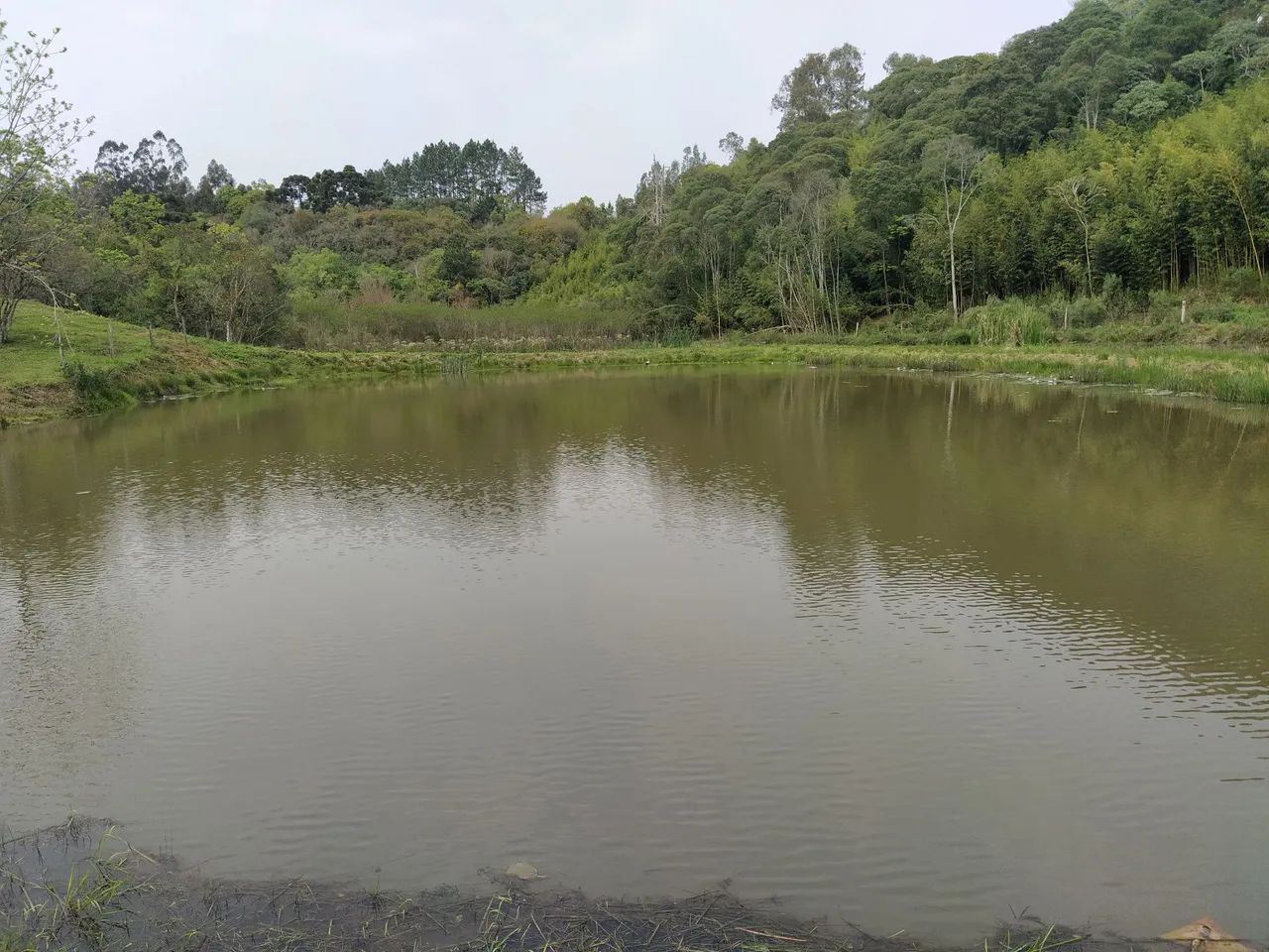 Sítio, Ribeirão Branco  - Foto 2