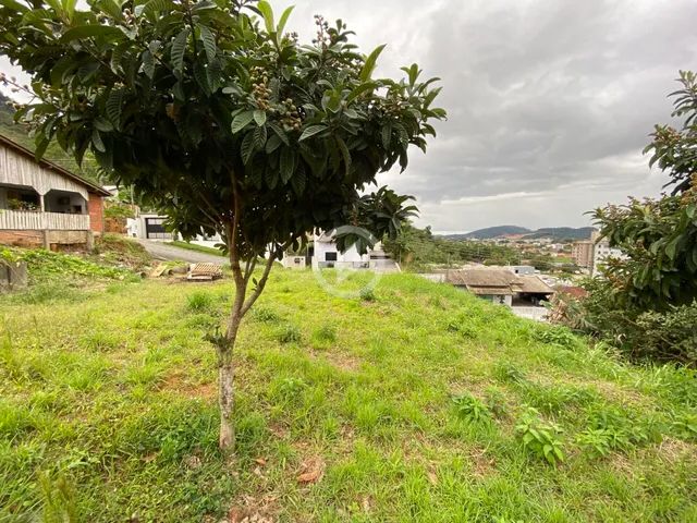 Terreno no Amizade de Guaramirim - Foto 2