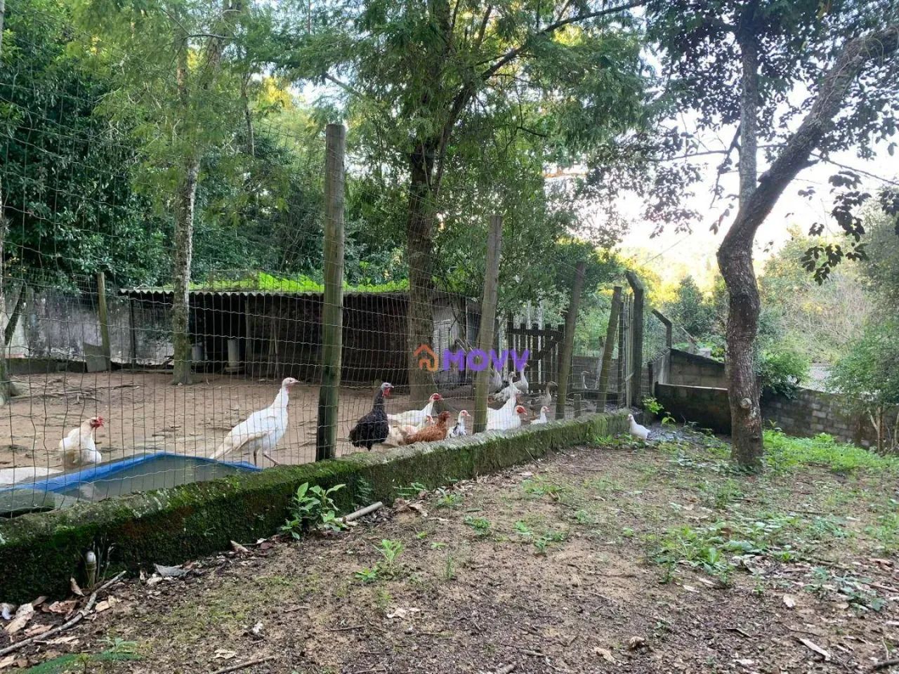 Chácara à venda, 1717 m² por R$ 850.000,00 - Várzea das Moças - Niterói/RJ - Foto 4
