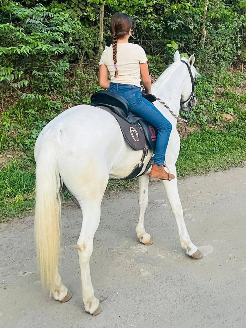 Cavalo mangalarga marchador  - Foto 3