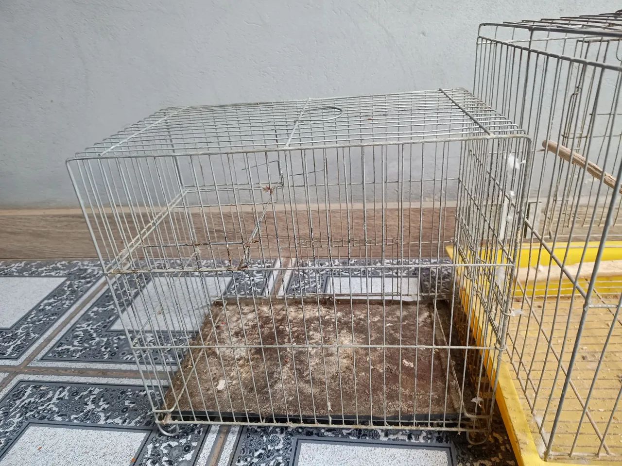 Gaiola de pássaro  - Foto 4