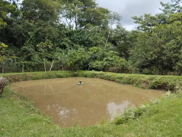 Rancho em Palmeiras na Beira do Rio Aquidauana  - Pesqueiro - Chacara - Foto 4