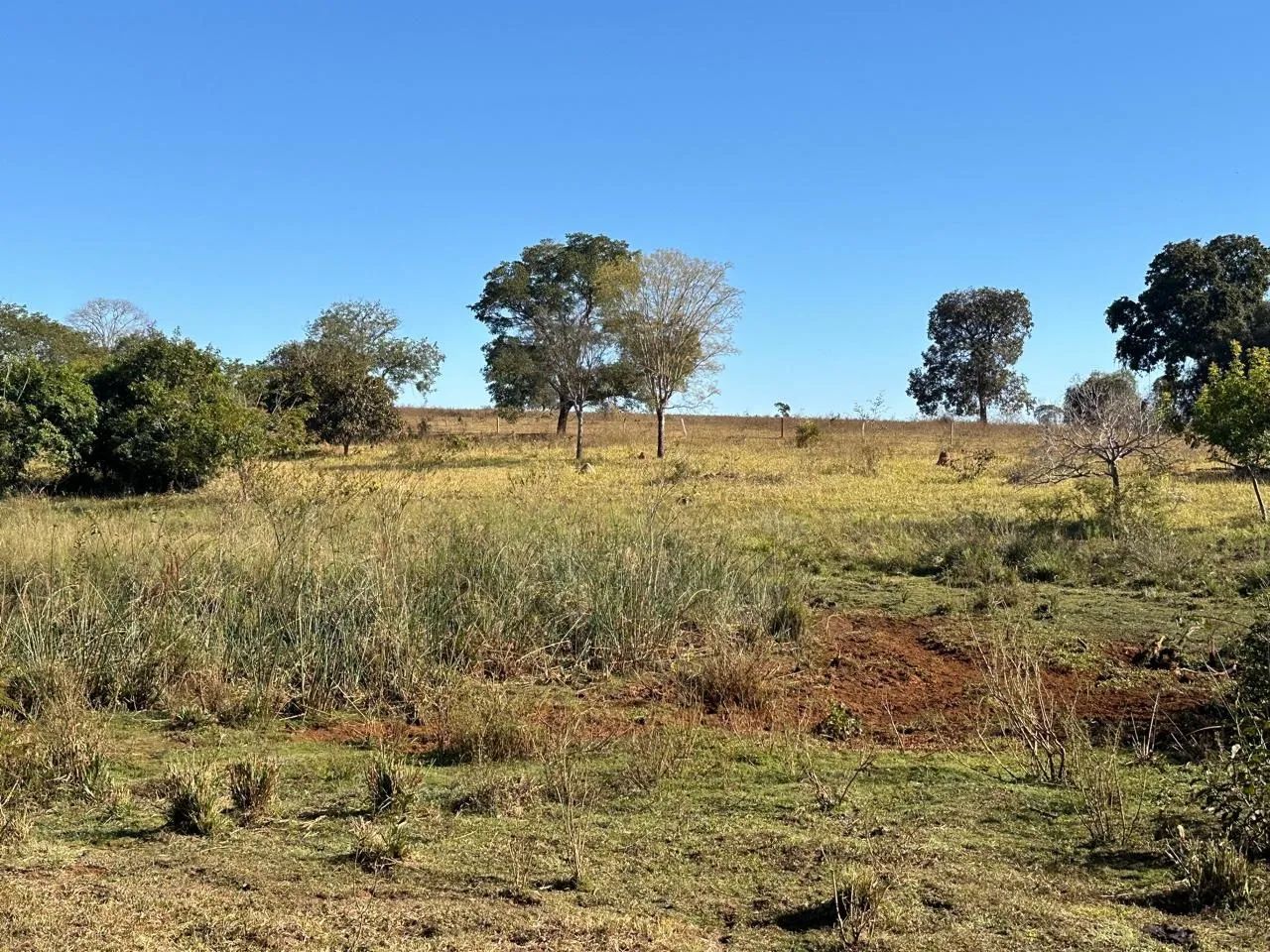 Fazenda a venda  em  - Itarumã - Goiás - Foto 5