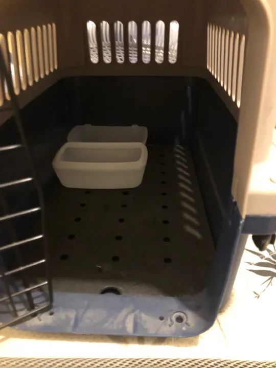 2 Caixas transportadora para Pets (cão e gato) tamanho N2 