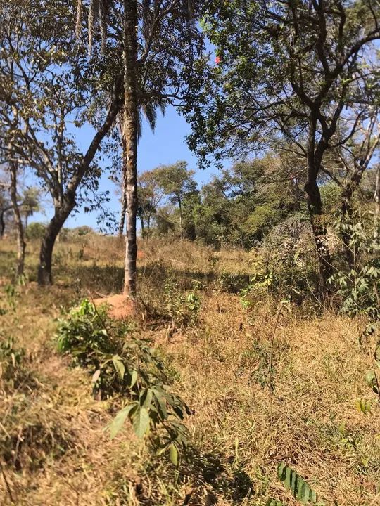 Juatuba - Terreno de 4.000m² - Foto 4