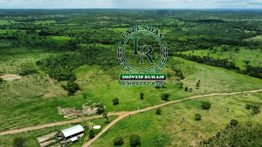Fazenda 150 Alqueires Tocantins Próximo a Cidade - Foto 3