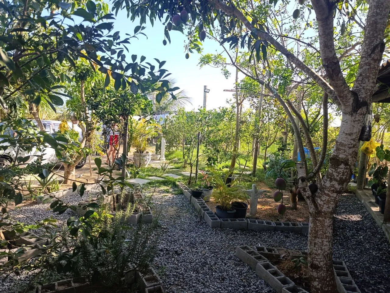 Chácara loft para temporada  - Foto 3