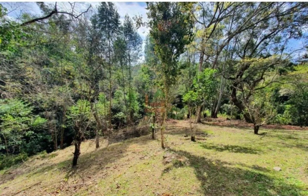 SÍTIO À VENDA - BAIRRO SABOÓ, SÃO ROQUE/SP - PORTEIRA FECHADA! ?