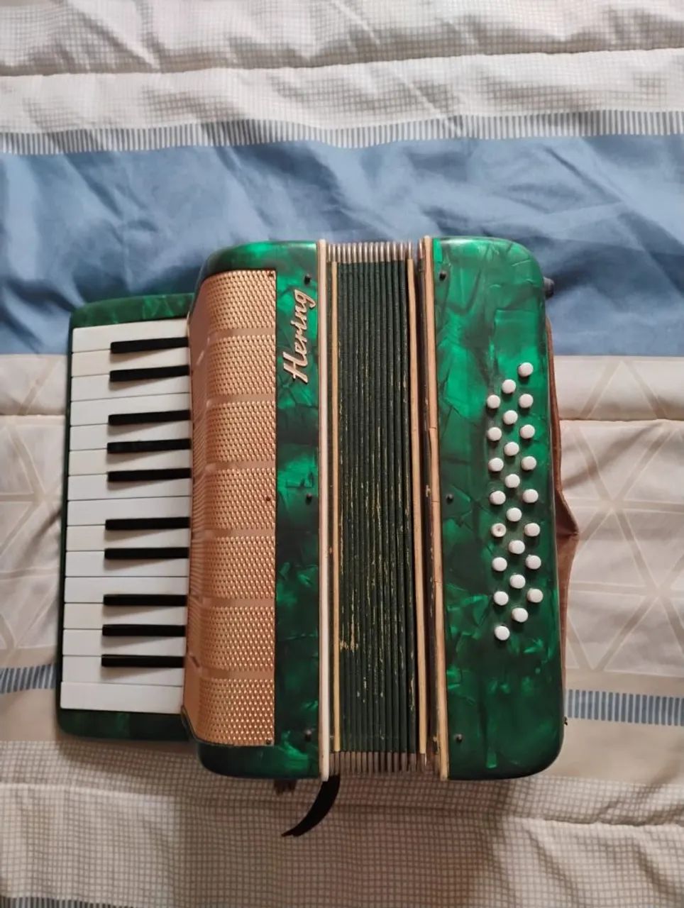 Acordeon  marca Hering  - Foto 2