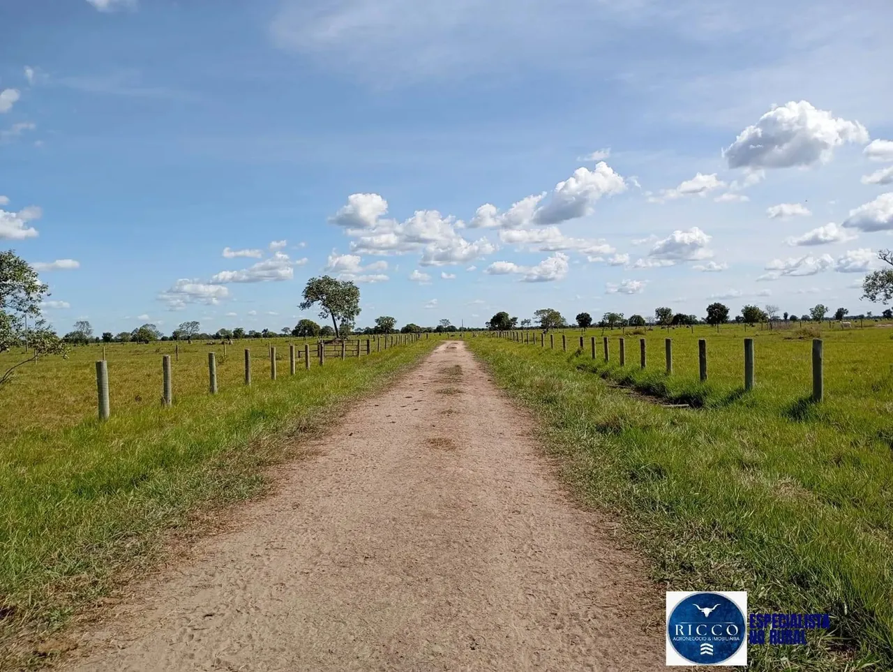 Fazenda à venda na região de Araguaiana-MT, 1.616 Alqueires