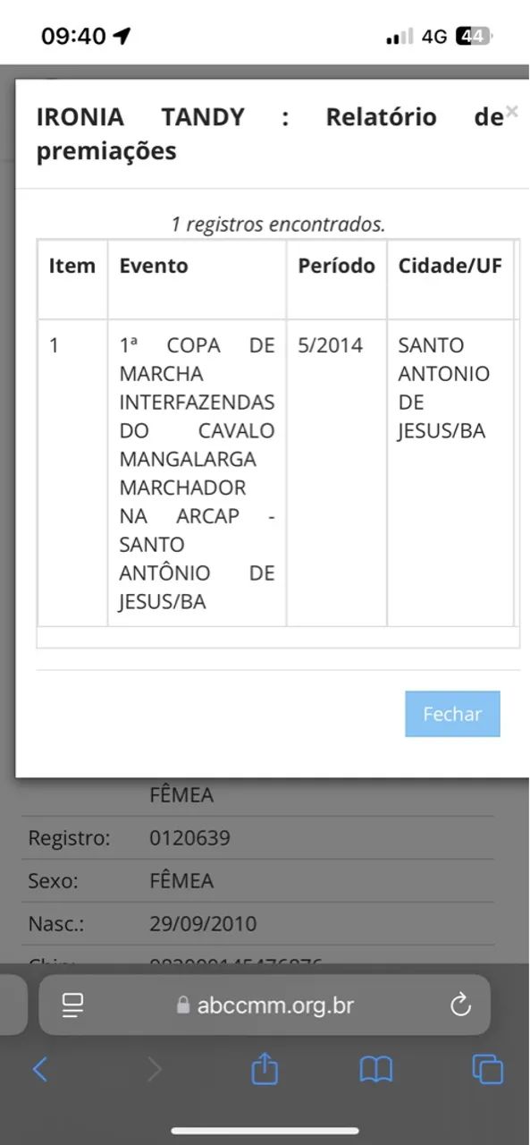 Égua mangalarga marchador  - Foto 4