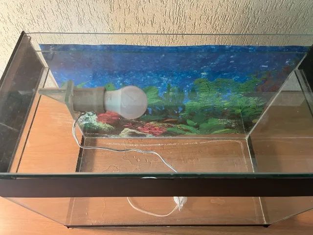 Aquário de vidro em ótimo estado - Foto 2