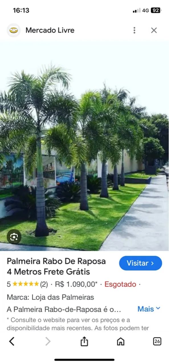 Palmeira Rabo de Raposa e Ipê 