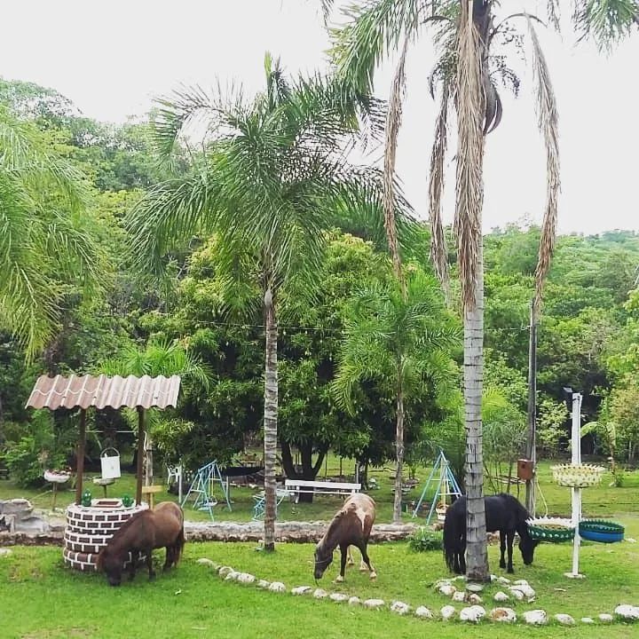 Linda Chácara ABUNDANTE EM NASCENTES D'ÁGUA! 