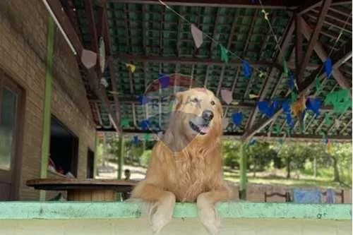 VENDE linda Chácara em Terra Vermelha, Preço Reduzido! - Foto 2