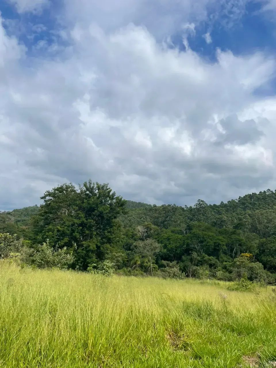 Seu pedaço de paraíso está em Igaratá - Foto 2