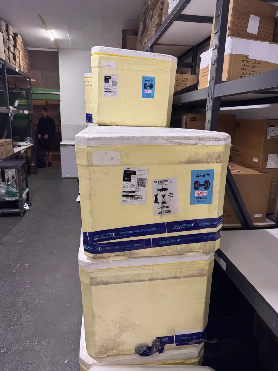 Caixa grande de isopor -  Cooler transportes aviário - Foto 3