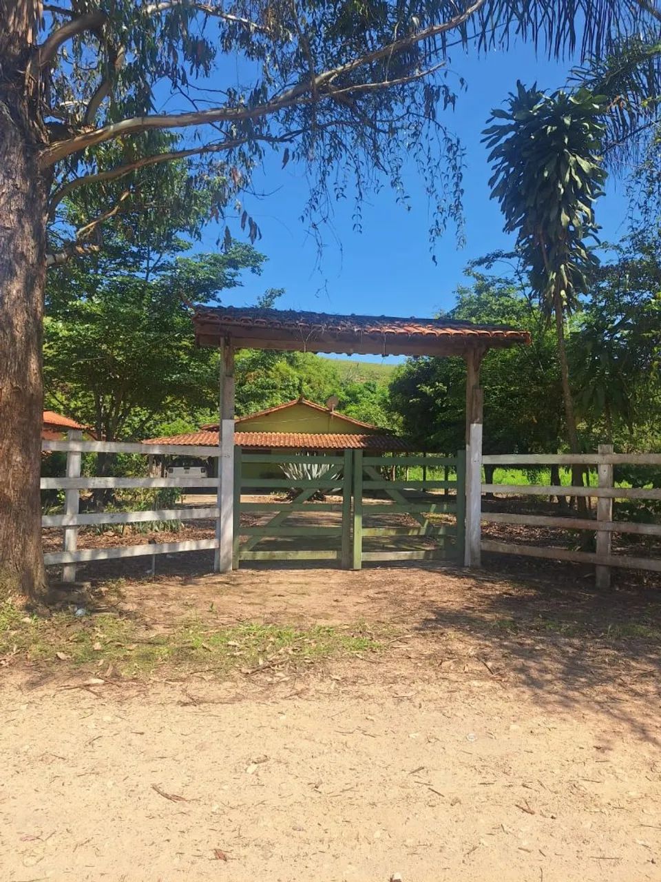 Foto - Entre Rios de Minas - 