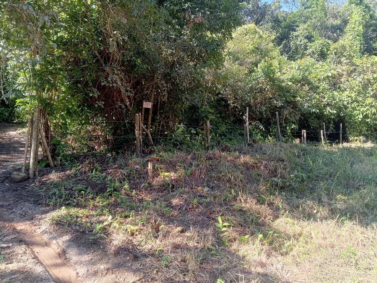 Terreno rural  - Foto 3