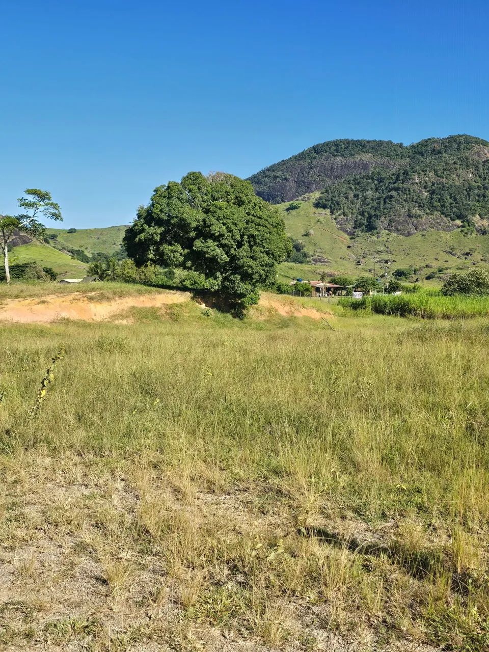 CHÁCARA EM BIRIRICAS - FUNDÃO  - Foto 5
