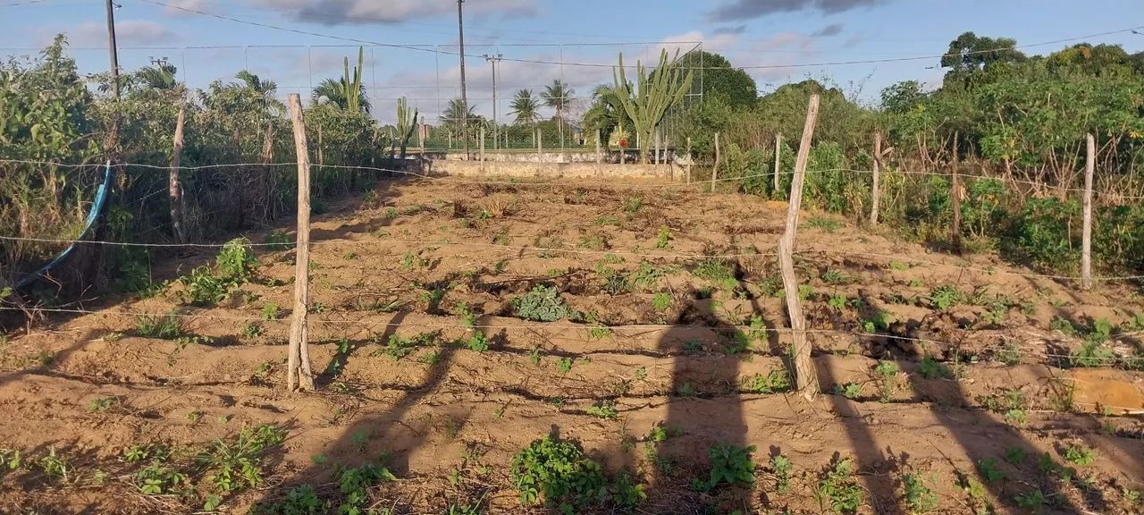 Vende-se lote - Foto 5