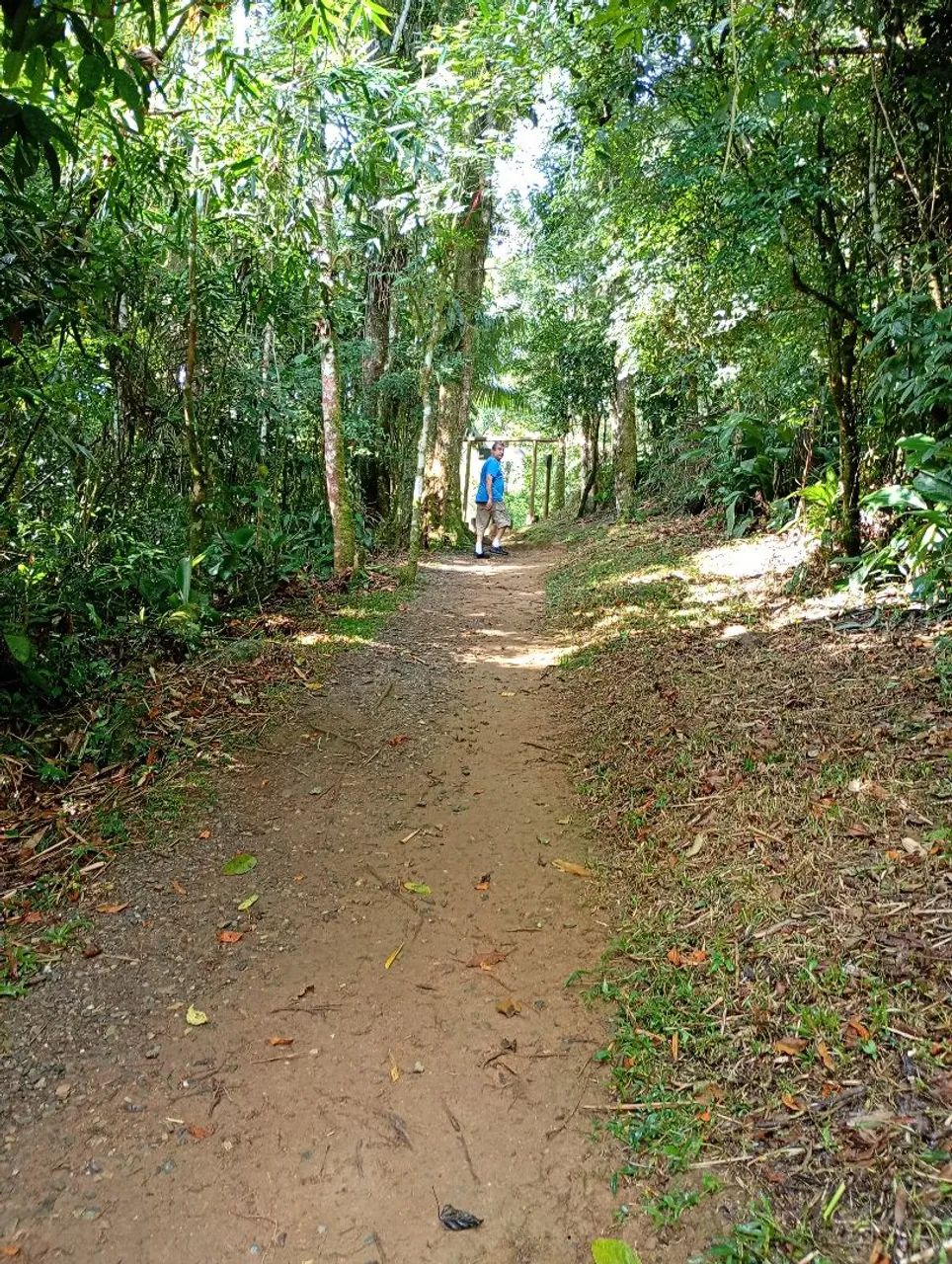 Foto - Tapiraí - 