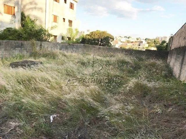 TERRENO,0 Dormitorio(s) bairro Europa