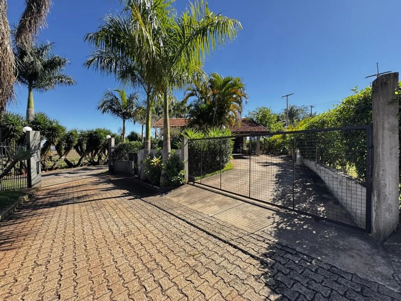 Chácara à venda em Maringá, Alto das Grevíleas, com 3 suítes, com 5830 m² - Foto 3