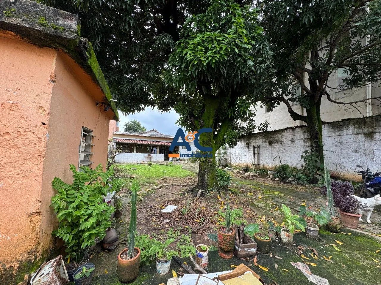 Lote á venda no bairro Serrano - Foto 4