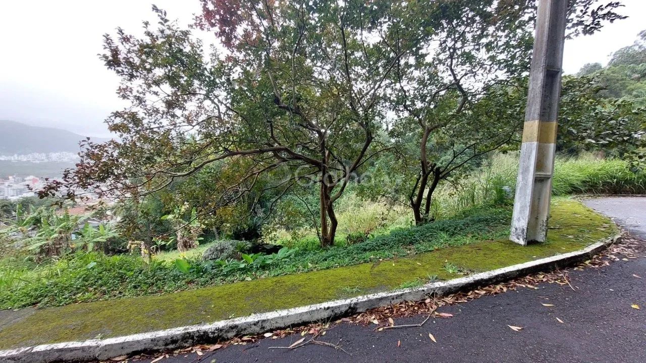 Terreno de 963m² na Trindade - Foto 4