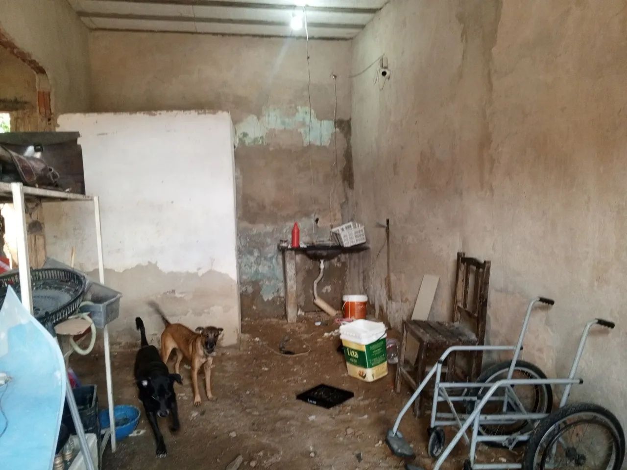 Duplex - Foto 2