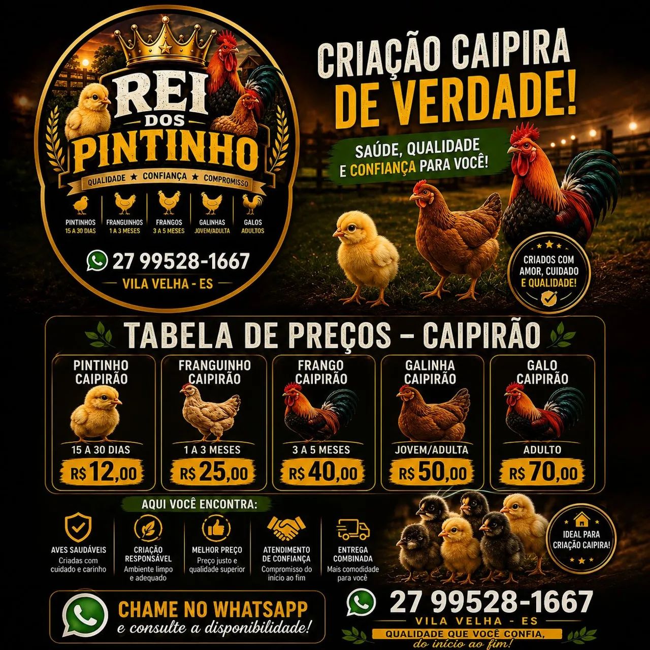 PINTINHOS, FRANGUINHOS, FRANGOS, GALINHAS E GALOS CAIPIRAS!