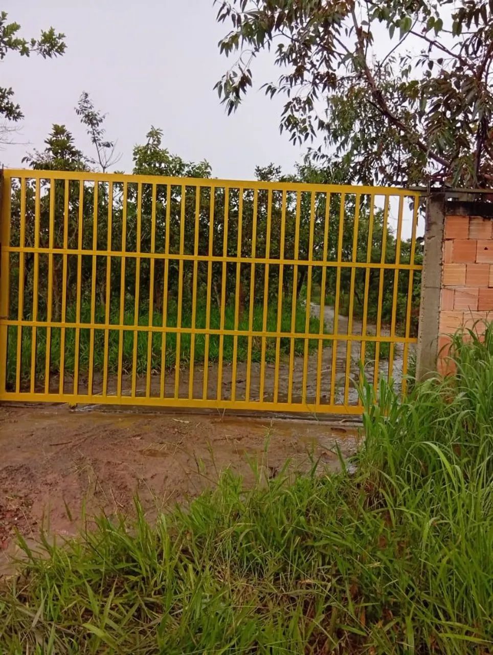 Chácara para a venda  - Foto 2