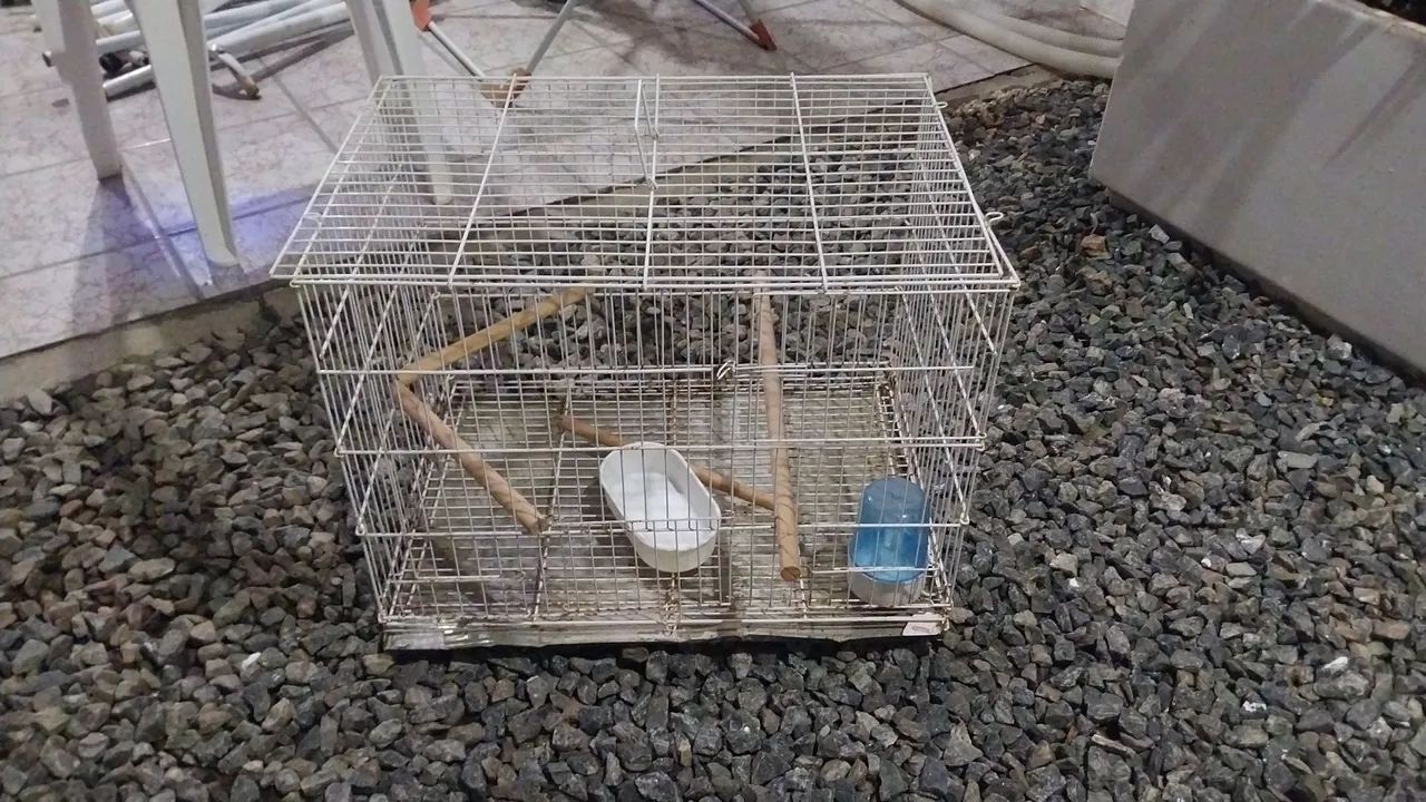 Gaiola