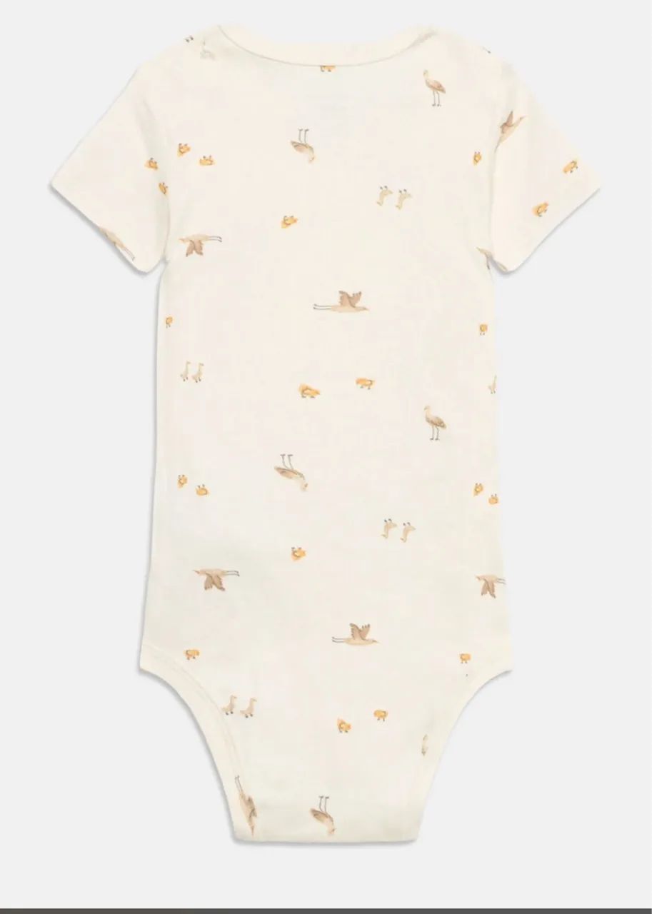 Kit body carters - Foto 2