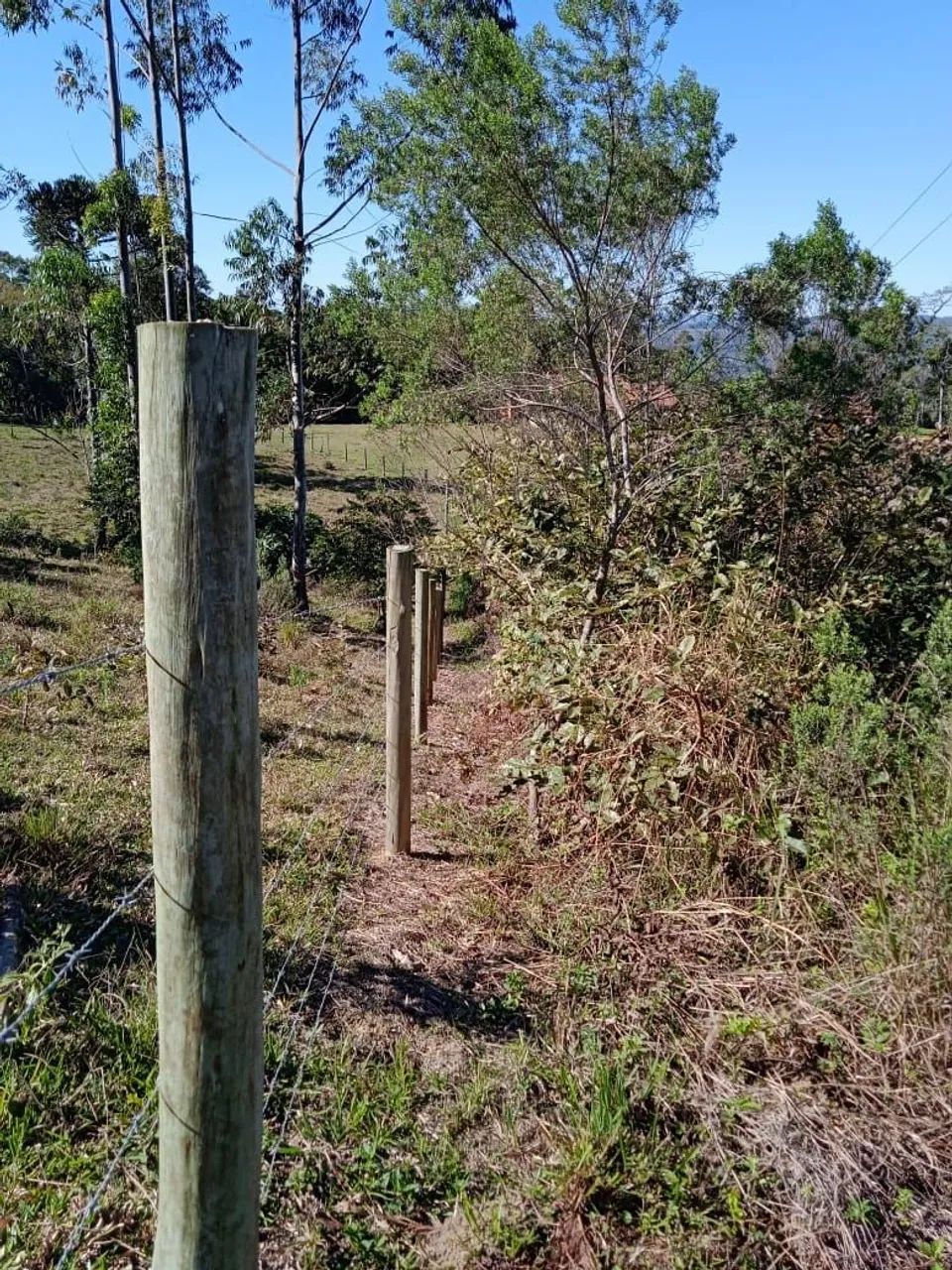 Terreno Lote em Lontras/SC  - Foto 4
