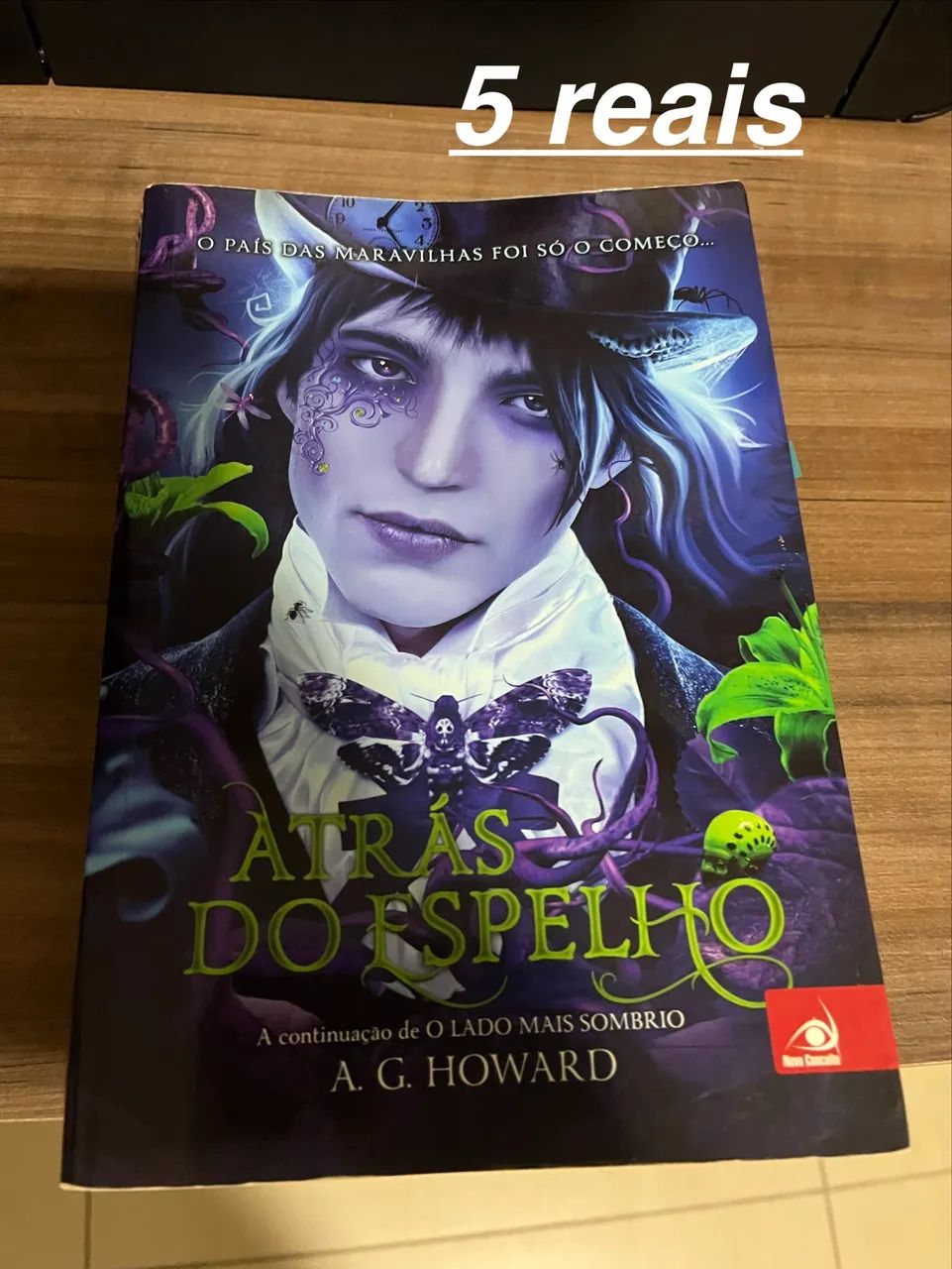 Através do Espelho- Livro da neta da Alice