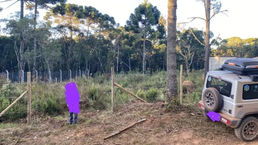 Foto - Cotia - Granja Viana II