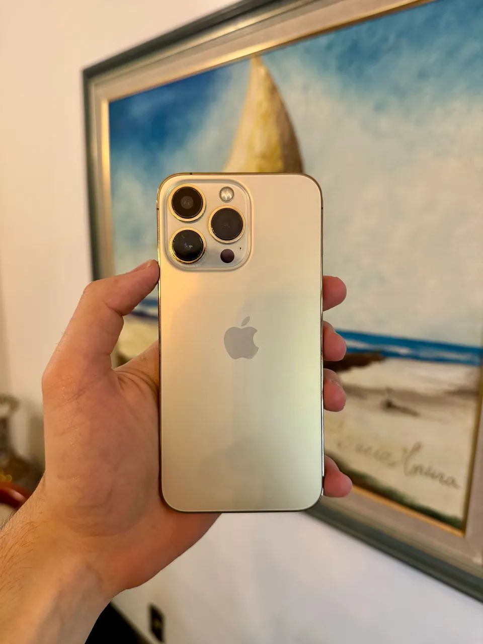 iPhone 13 Pro 