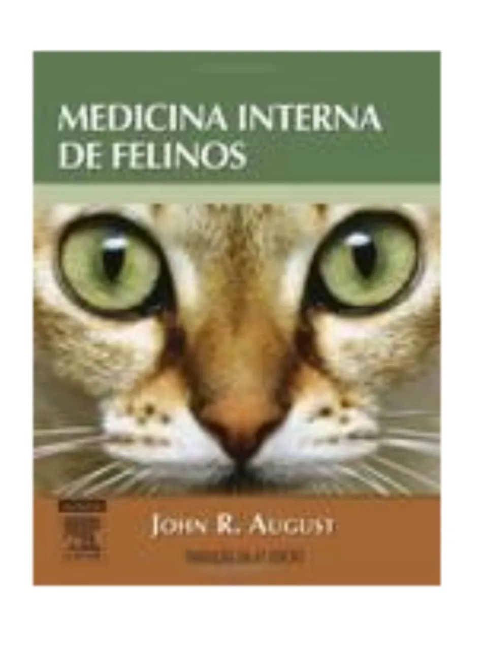 Libro Medicina Interna de Felinos 6 edicao